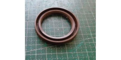 Сальник D48хd33.8х7